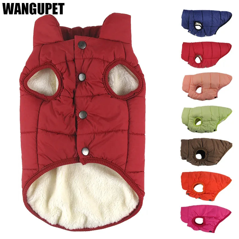 Winter Dog Coat