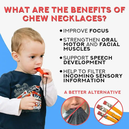 Sensory Chew Necklace & Teether