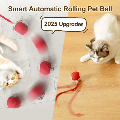 Smart Rolling Cat Toy