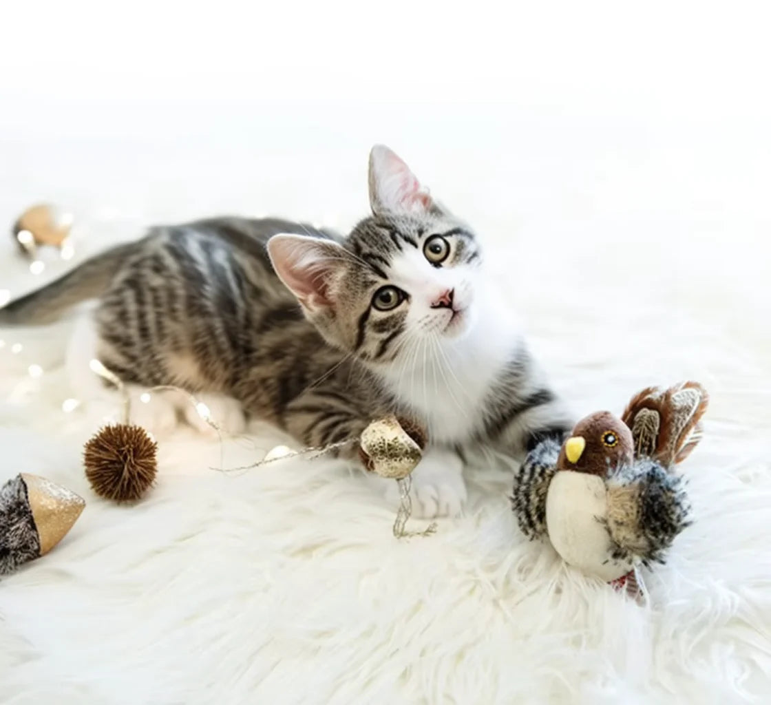 Interactive Electric Bird Cat Toy