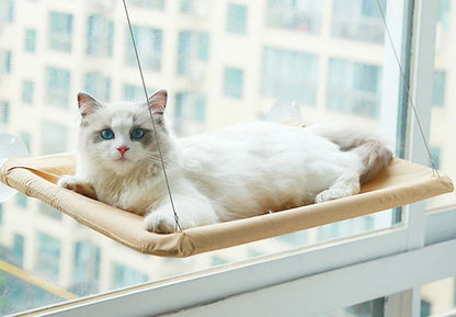 Cat Hammock Bed