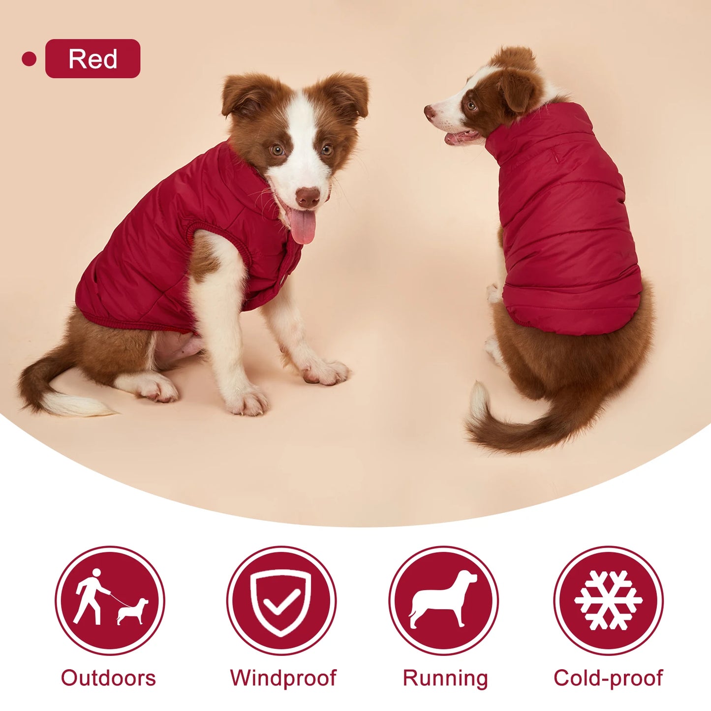 Winter Dog Coat