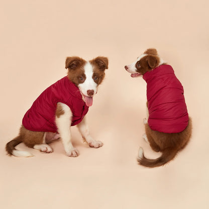 Winter Dog Coat