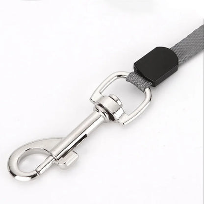 Durable Retractable Nylon Dog Leash