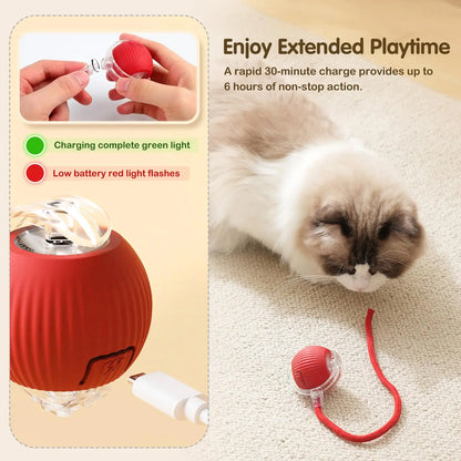 Smart Rolling Cat Toy