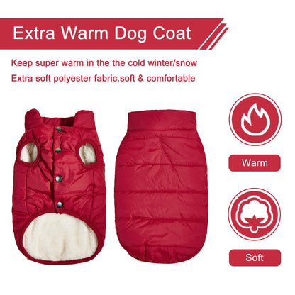 Winter Dog Coat